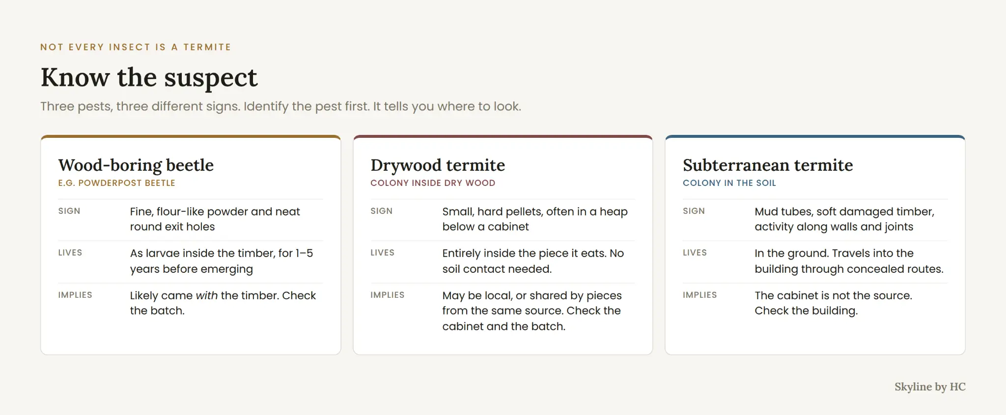 Comparison of wood-boring beetles, drywood termites and subterranean termites, their signs and likely sources